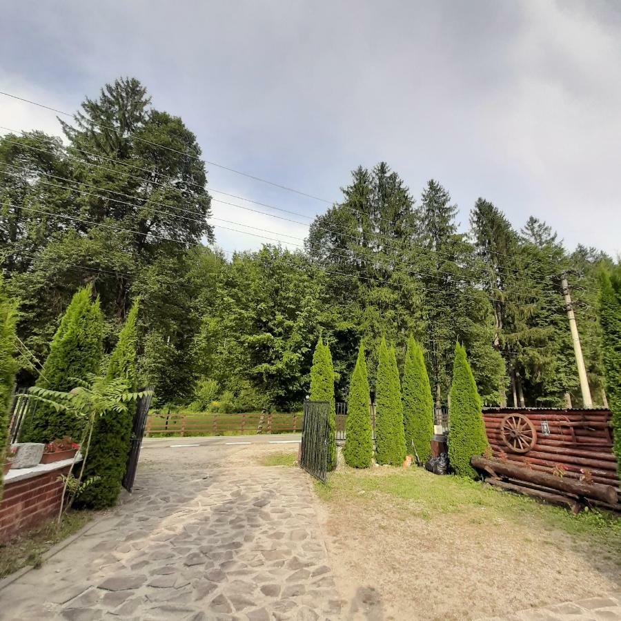 Отель Popas Balea Rau Кырцишоара Экстерьер фото