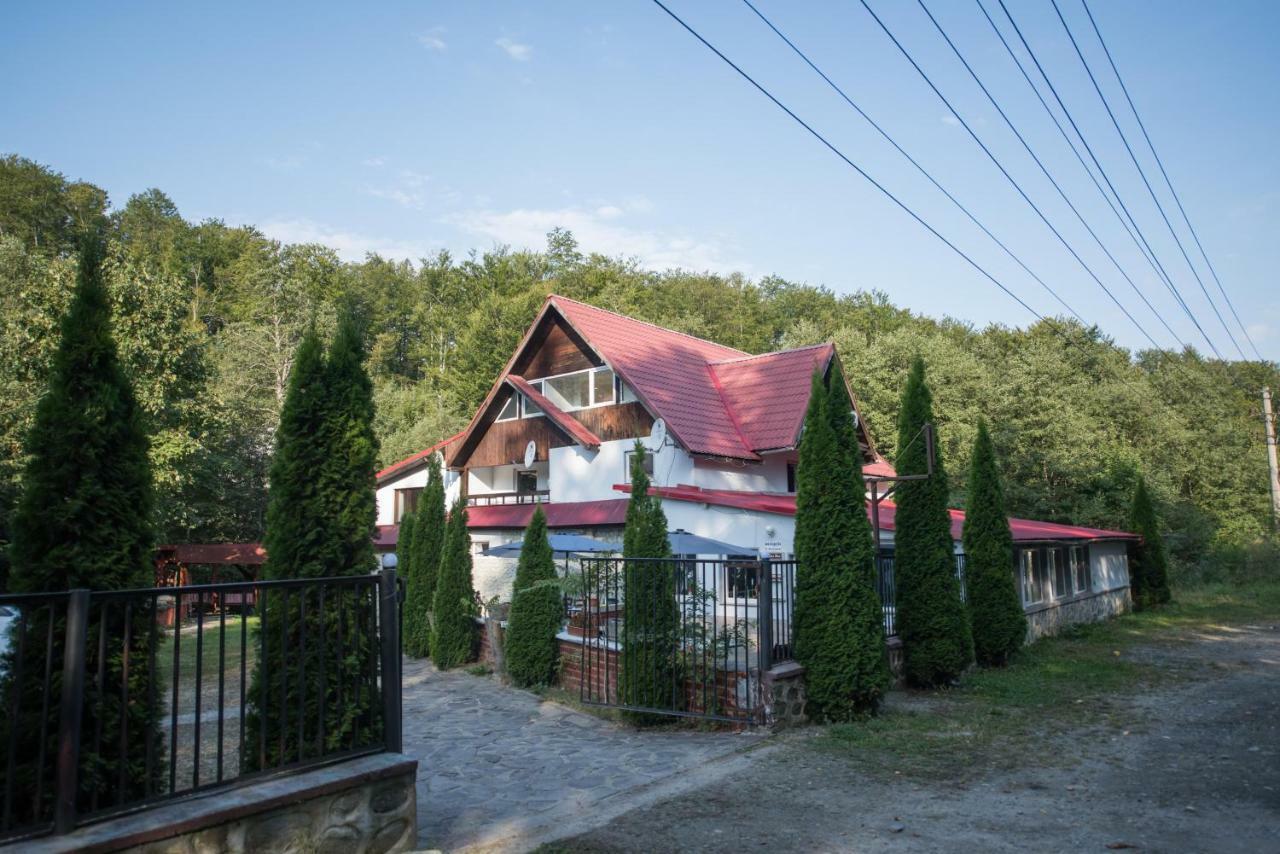 Отель Popas Balea Rau Кырцишоара Экстерьер фото